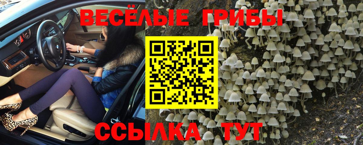 МДМА  Вход с VPN  Гагарин  A PVP СК кристаллы  Cocaine  Мефедрон   Марихуана  Меф МЯУ МЯУ  Как найти закладки? 
