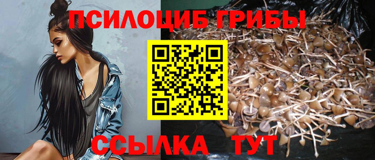 Галлюциногенные грибы MAGIC MUSHROOMS  Вход с VPN  Гагарин 